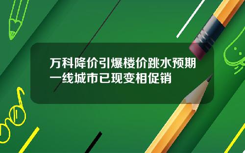 万科降价引爆楼价跳水预期一线城市已现变相促销