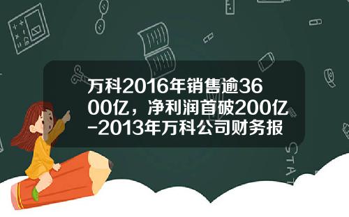 万科2016年销售逾3600亿，净利润首破200亿-2013年万科公司财务报表
