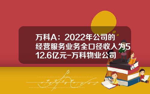 万科A：2022年公司的经营服务业务全口径收入为512.6亿元-万科物业公司财务报表