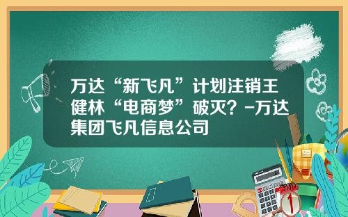 万达“新飞凡”计划注销王健林“电商梦”破灭？-万达集团飞凡信息公司