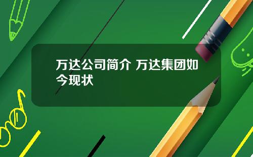 万达公司简介 万达集团如今现状