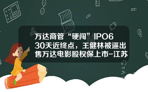 万达商管“硬闯”IPO630天近终点，王健林被逼出售万达电影股权保上市-江苏省小额贷款公司股权转让