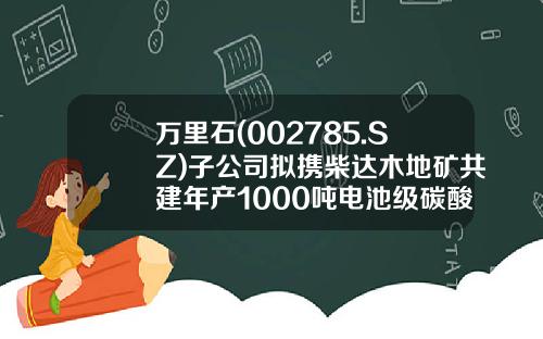 万里石(002785.SZ)子公司拟携柴达木地矿共建年产1000吨电池级碳酸锂生产线-柴达木公司要上市时间