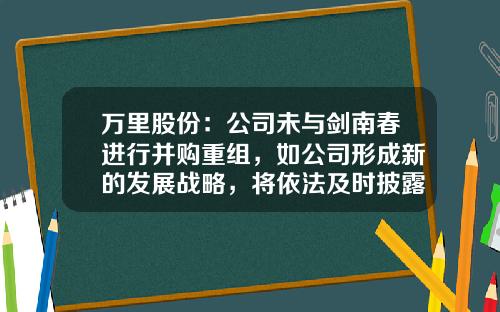 万里股份：公司未与剑南春进行并购重组，如公司形成新的发展战略，将依法及时披露-万里控股集团股份有限公司