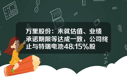 万里股份：未就估值、业绩承诺期限等达成一致，公司终止与特瑞电池48.15%股权及配套募资重组事项-万里控股集团股份有限公司