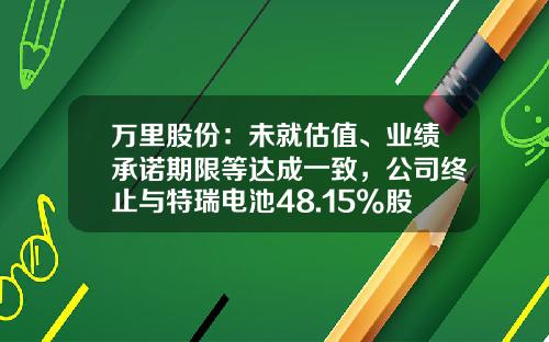 万里股份：未就估值、业绩承诺期限等达成一致，公司终止与特瑞电池48.15%股权及配套募资重组事项-浙江万里控股集团股份有限公司