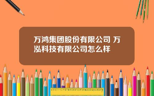 万鸿集团股份有限公司 万泓科技有限公司怎么样