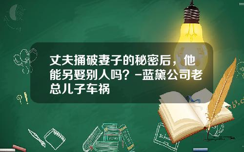 丈夫捅破妻子的秘密后，他能另娶别人吗？-蓝黛公司老总儿子车祸