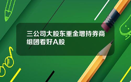 三公司大股东重金增持券商组团看好A股
