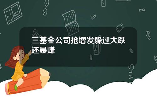 三基金公司抢增发躲过大跌还暴赚