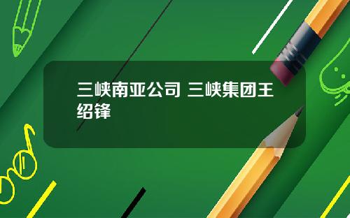 三峡南亚公司 三峡集团王绍锋