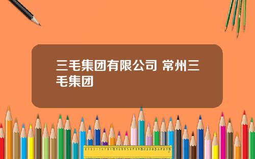 三毛集团有限公司 常州三毛集团