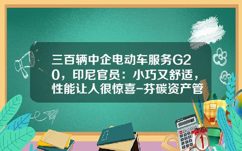 三百辆中企电动车服务G20，印尼官员：小巧又舒适，性能让人很惊喜-芬碳资产管理有限公司【新闻】.