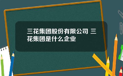 三花集团股份有限公司 三花集团是什么企业