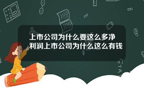 上市公司为什么要这么多净利润上市公司为什么这么有钱