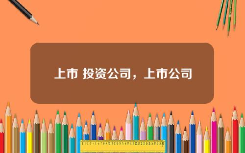 上市 投资公司，上市公司
