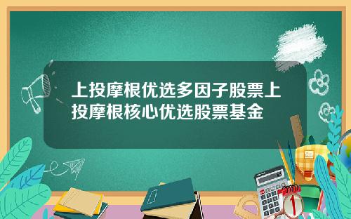 上投摩根优选多因子股票上投摩根核心优选股票基金