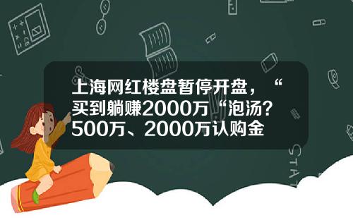 上海网红楼盘暂停开盘，“买到躺赚2000万“泡汤？500万、2000万认购金开始退款-上海假结婚买房多少钱