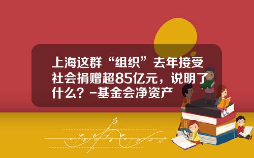 上海这群“组织”去年接受社会捐赠超85亿元，说明了什么？-基金会净资产