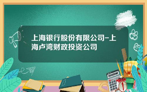 上海银行股份有限公司-上海卢湾财政投资公司