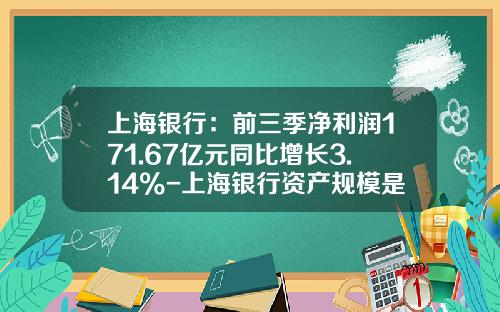 上海银行：前三季净利润171.67亿元同比增长3.14%-上海银行资产规模是多少