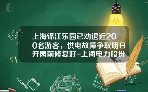 上海锦江乐园已劝退近200名游客，供电故障争取明日开园前修复好-上海电力股份有限公司的客户经理