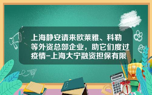 上海静安请来欧莱雅、科勒等外资总部企业，助它们度过疫情-上海大宁融资担保有限公司