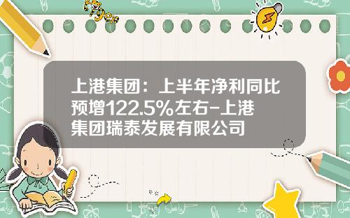 上港集团：上半年净利同比预增122.5%左右-上港集团瑞泰发展有限公司