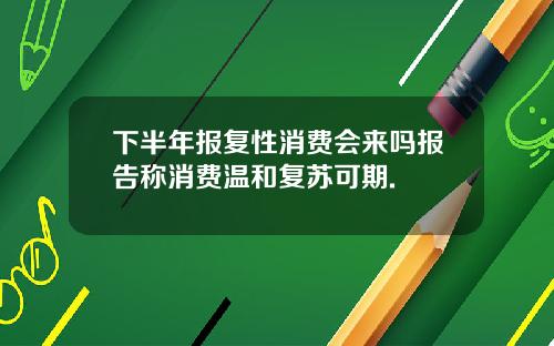 下半年报复性消费会来吗报告称消费温和复苏可期.