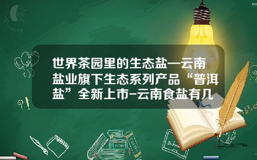 世界茶园里的生态盐—云南盐业旗下生态系列产品“普洱盐”全新上市-云南食盐有几个公司