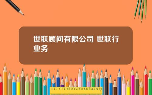 世联顾问有限公司 世联行业务