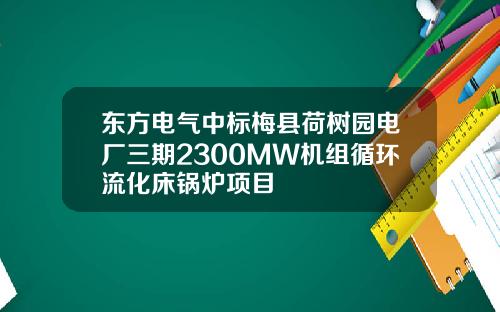 东方电气中标梅县荷树园电厂三期2300MW机组循环流化床锅炉项目