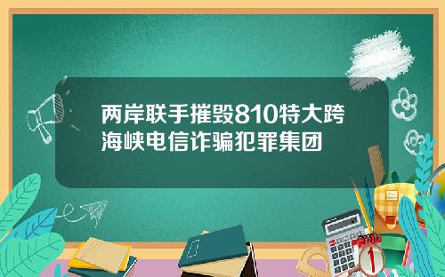 两岸联手摧毁810特大跨海峡电信诈骗犯罪集团
