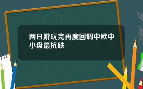 两日游玩完再度回调中欧中小盘最抗跌