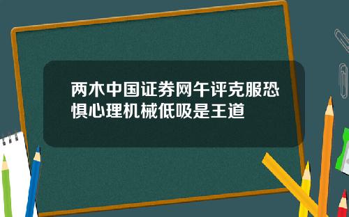 两木中国证券网午评克服恐惧心理机械低吸是王道