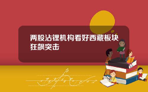 两股沾锂机构看好西藏板块狂飙突击