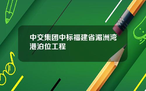 中交集团中标福建省湄洲湾港泊位工程