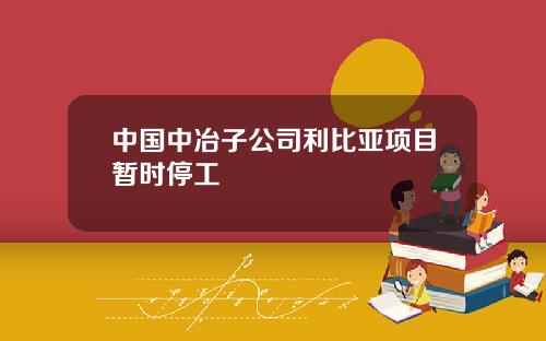 中国中冶子公司利比亚项目暂时停工