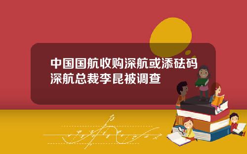 中国国航收购深航或添砝码深航总裁李昆被调查
