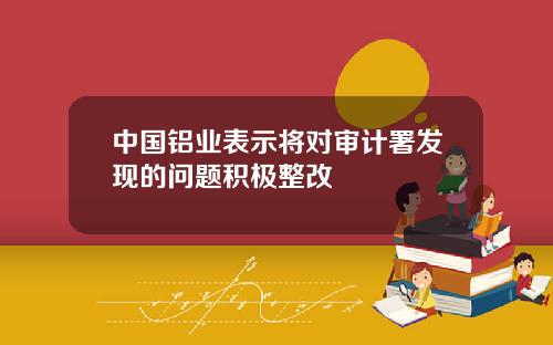 中国铝业表示将对审计署发现的问题积极整改