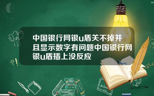 中国银行网银u盾关不掉并且显示数字有问题中国银行网银u盾插上没反应