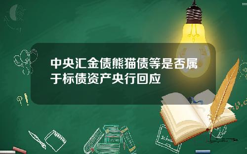 中央汇金债熊猫债等是否属于标债资产央行回应