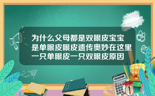 为什么父母都是双眼皮宝宝是单眼皮眼皮遗传奥妙在这里一只单眼皮一只双眼皮原因