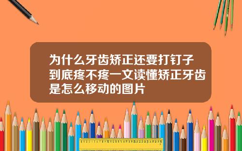 为什么牙齿矫正还要打钉子到底疼不疼一文读懂矫正牙齿是怎么移动的图片
