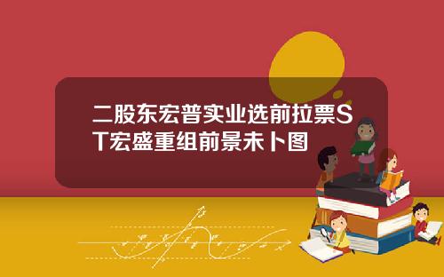 二股东宏普实业选前拉票ST宏盛重组前景未卜图