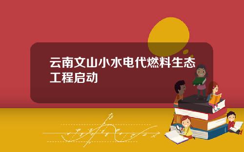 云南文山小水电代燃料生态工程启动