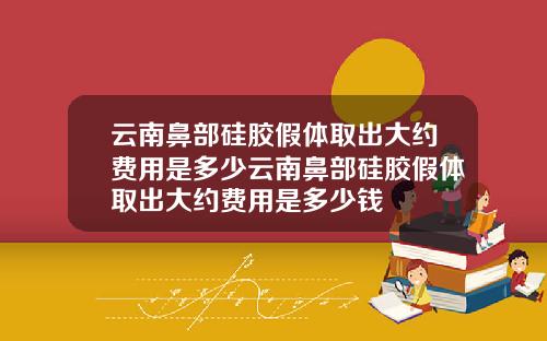 云南鼻部硅胶假体取出大约费用是多少云南鼻部硅胶假体取出大约费用是多少钱