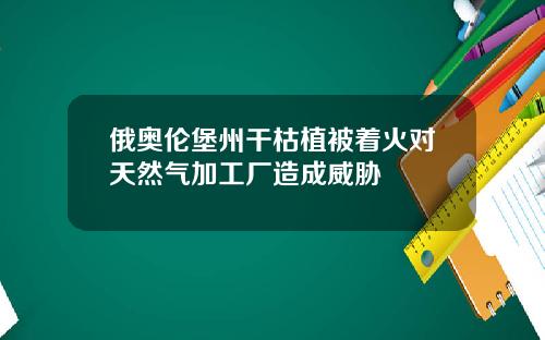 俄奥伦堡州干枯植被着火对天然气加工厂造成威胁