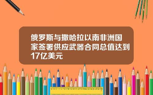 俄罗斯与撒哈拉以南非洲国家签署供应武器合同总值达到17亿美元