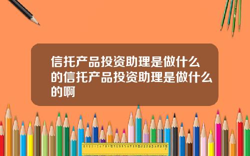 信托产品投资助理是做什么的信托产品投资助理是做什么的啊